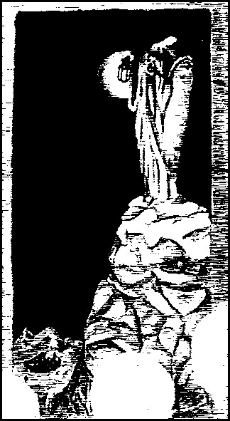 iv